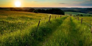 home_calhoun_landscapes_10