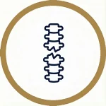 icon of a broken spinal cord
